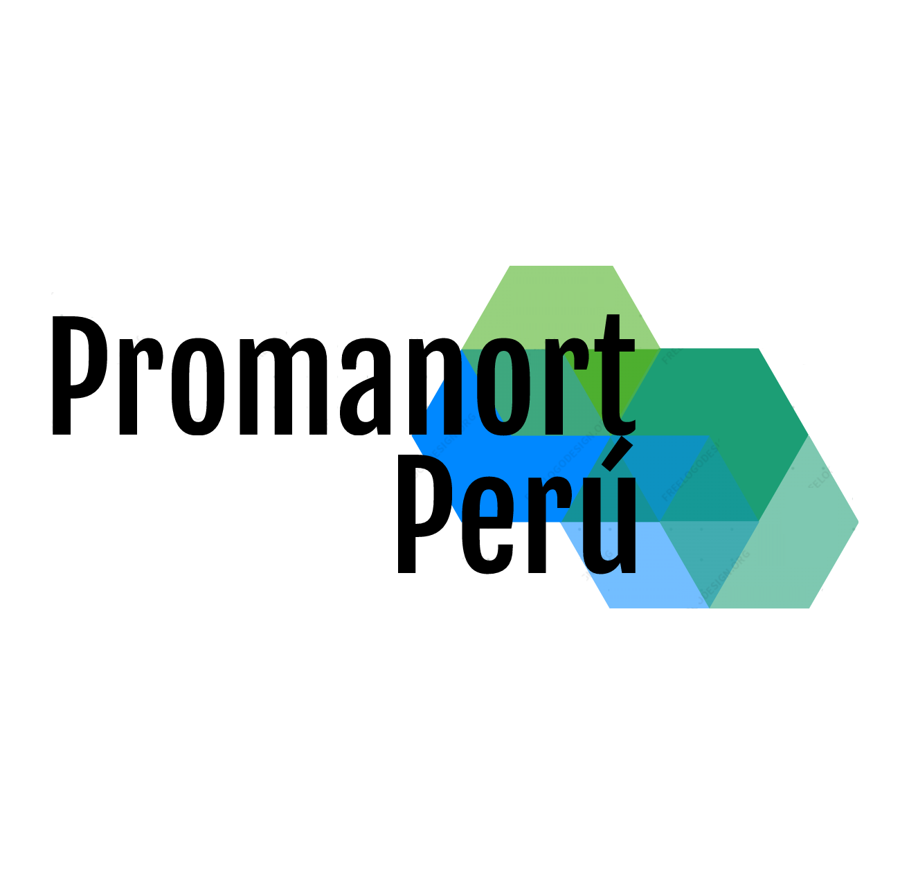 logo promanort